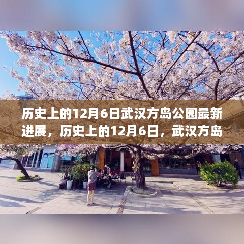 武漢方島公園最新進(jìn)展深度解析，歷史上的12月6日回顧與進(jìn)展報(bào)告