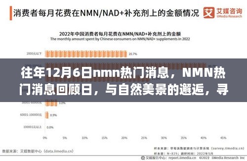 往年NMN熱門(mén)消息回顧日，與自然美景的邂逅，心靈寧?kù)o之旅啟程