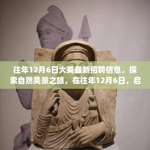 往年12月6日，最新招聘信息與自然美景探索之旅的雙重驚喜，啟程尋找工作與心靈的寧?kù)o