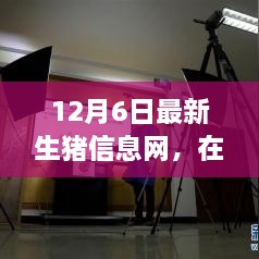 云端豬事，最新生豬信息小記（12月6日）