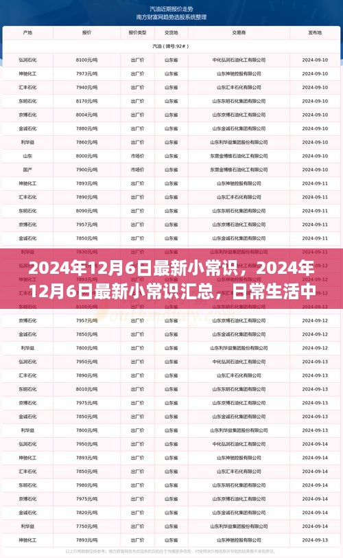 2024年12月6日最新小常識一覽，日常生活中的新奇知識匯總