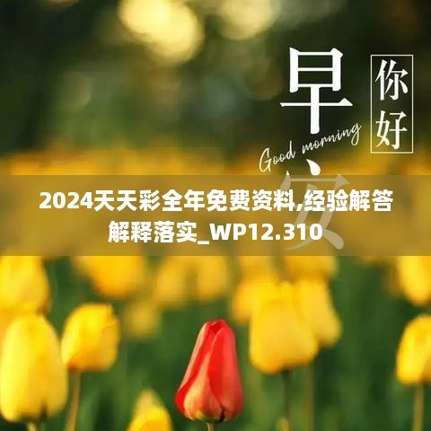 2024天天彩全年免費資料,經(jīng)驗解答解釋落實_WP12.310