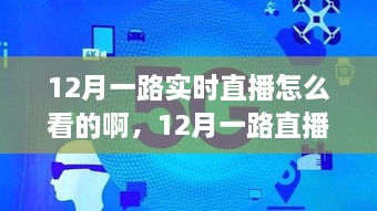 12月直播盛宴，如何實時觀看直播節(jié)目指南