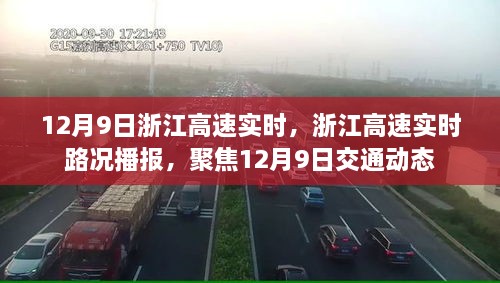 浙江高速實時路況播報，聚焦12月9日交通動態(tài)