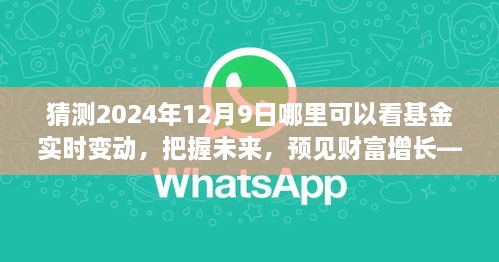 見證未來財(cái)富增長，把握基金實(shí)時(shí)變動(dòng)之旅，2024年12月9日揭曉！