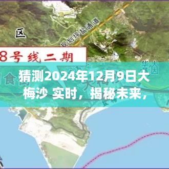 揭秘大梅沙海域未來生態(tài)與環(huán)境展望，2024年12月9日海洋生態(tài)實(shí)時(shí)揭秘