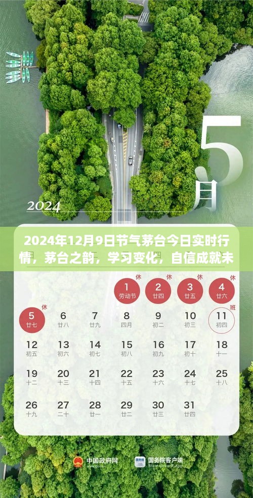 茅臺之韻，2024年12月9日實時行情啟示錄，洞悉變化，自信筑夢未來