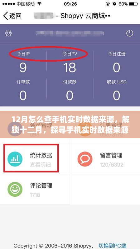 探尋手機實時數(shù)據(jù)來源的奧秘，十二月開啟自信與成就之旅的指南