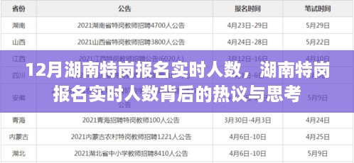 湖南特崗報名實時人數(shù)熱議與思考，背后的真相與啟示