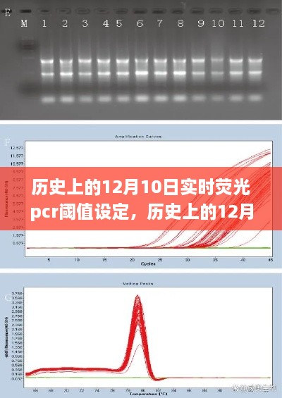 歷史上的12月10日，實(shí)時(shí)熒光PCR閾值設(shè)定的探索之旅