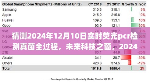 揭秘未來科技之窗，2024年實時熒光PCR檢測真菌全過程展望與解析