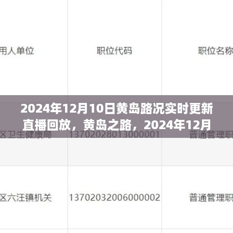 2024年12月10日黃島路況實(shí)錄與深度解讀，實(shí)時(shí)更新直播回放