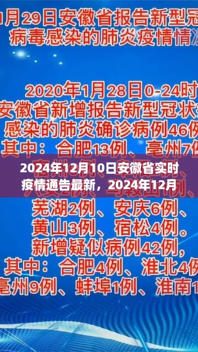 2024年12月10日安徽省實(shí)時(shí)疫情通告，最新分析與觀察