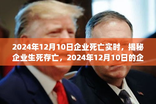 揭秘企業(yè)生死存亡，企業(yè)死亡實時真相揭秘（2024年12月10日）