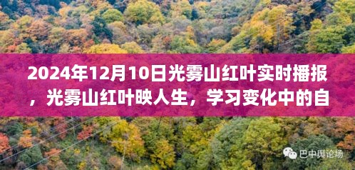 光霧山紅葉映人生，自信與成就之旅的實(shí)時(shí)播報(bào)（2024年12月）