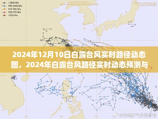 2024年白露臺風實時路徑動態(tài)圖及預測影響分析