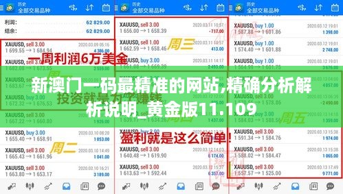 新澳門一碼最精準的網(wǎng)站,精確分析解析說明_黃金版11.109