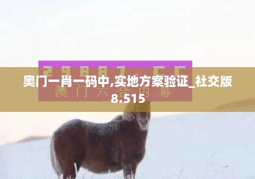 奧門(mén)一肖一碼中,實(shí)地方案驗(yàn)證_社交版8.515