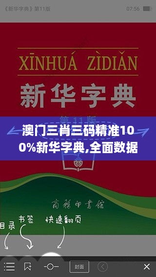 澳門(mén)三肖三碼精準(zhǔn)100%新華字典,全面數(shù)據(jù)分析方案_Prime7.849