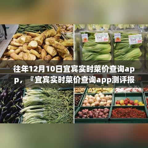 宜賓實時菜價查詢app歷年功能深度解析與用戶體驗洞察測評報告，宜賓歷年菜價變遷一覽無余！