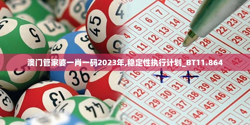 澳門管家婆一肖一碼2023年,穩(wěn)定性執(zhí)行計(jì)劃_BT11.864