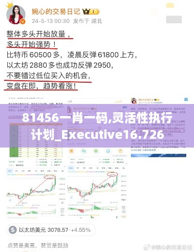 81456一肖一碼,靈活性執(zhí)行計劃_Executive16.726