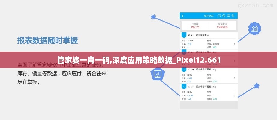 管家婆一肖一碼,深度應(yīng)用策略數(shù)據(jù)_Pixel12.661