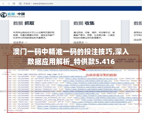 澳門一碼中精準一碼的投注技巧,深入數(shù)據(jù)應(yīng)用解析_特供款5.416