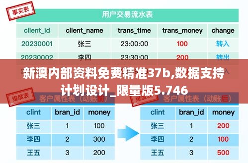 新澳內(nèi)部資料免費精準37b,數(shù)據(jù)支持計劃設計_限量版5.746