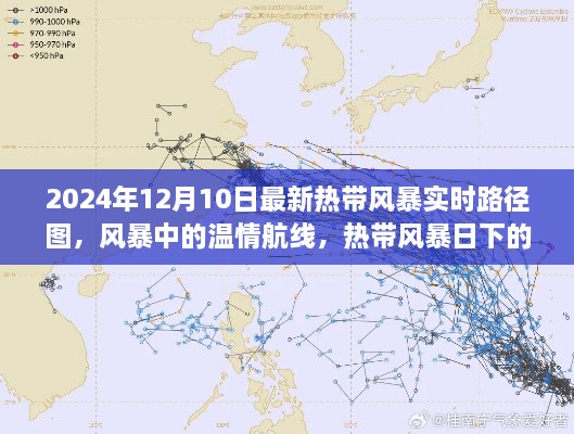 2024年熱帶風(fēng)暴實(shí)時(shí)路徑圖，風(fēng)暴中的溫情旅程與特殊旅程揭秘