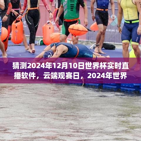 云端觀賽日，世界杯與直播軟件的奇妙之旅 2024年世界杯預測直播體驗