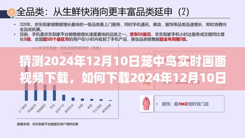 詳細(xì)步驟指南，如何下載2024年籠中鳥實(shí)時畫面視頻下載指南及步驟解析