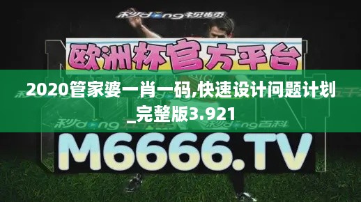 2020管家婆一肖一碼,快速設(shè)計(jì)問(wèn)題計(jì)劃_完整版3.921