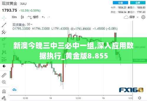 新澳今晚三中三必中一組,深入應用數(shù)據(jù)執(zhí)行_黃金版8.855