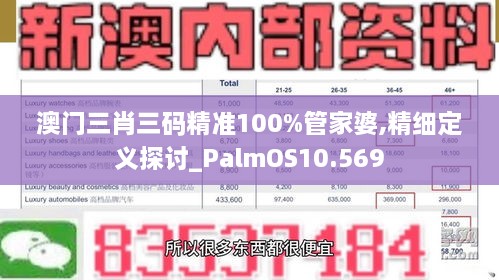 澳門(mén)三肖三碼精準(zhǔn)100%管家婆,精細(xì)定義探討_PalmOS10.569