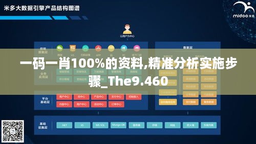 一碼一肖100%的資料,精準(zhǔn)分析實(shí)施步驟_The9.460