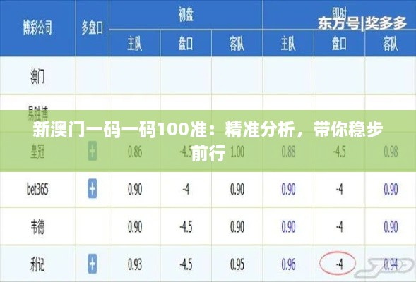 新澳門一碼一碼100準(zhǔn)：精準(zhǔn)分析，帶你穩(wěn)步前行