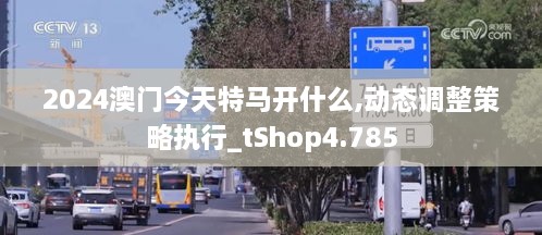 2024澳門今天特馬開什么,動(dòng)態(tài)調(diào)整策略執(zhí)行_tShop4.785