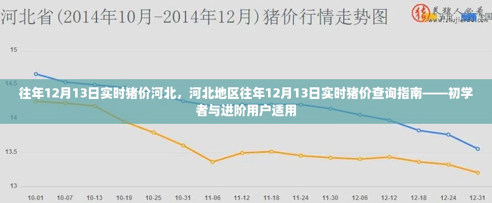 河北地區(qū)歷年12月13日實時豬價查詢指南，初學者與進階用戶必備參考