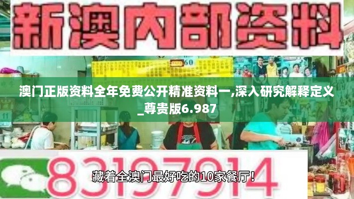 澳門正版資料全年免費公開精準資料一,深入研究解釋定義_尊貴版6.987