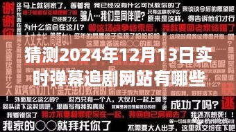 2024年實時彈幕追劇網(wǎng)站展望，背景、發(fā)展與行業(yè)地位深度解析