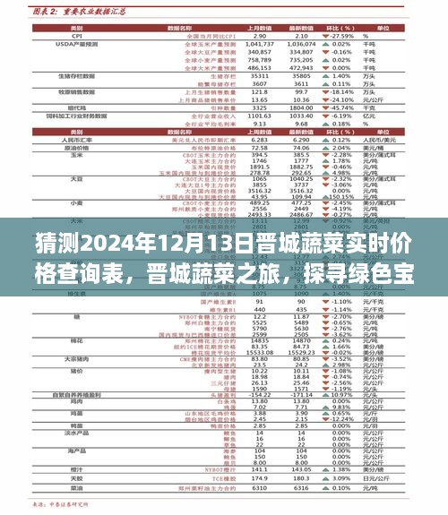 晉城蔬菜價(jià)格預(yù)測(cè)與綠色寶藏探尋之旅，心靈之旅啟程于2024年12月13日