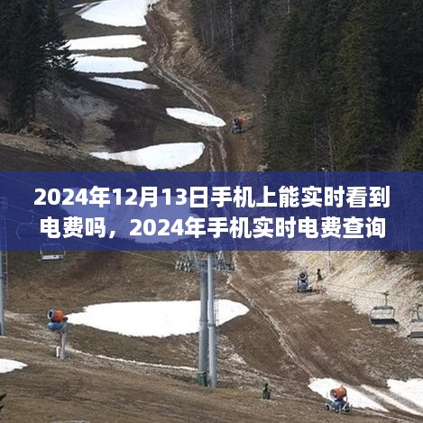 2024年手機實時電費查詢，便捷生活一觸即發(fā)