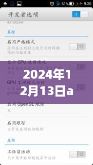 溫馨日常與科技紐帶，2024年12月13日Android實時顯示小趣事