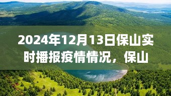 保山疫情實(shí)時播報與美景之旅，心靈避風(fēng)港，啟程尋找內(nèi)心寧靜與奇跡之旅（XXXX年XX月XX日）