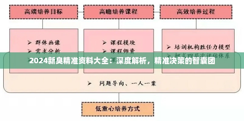 2024新臭精準(zhǔn)資料大全：深度解析，精準(zhǔn)決策的智囊團(tuán)