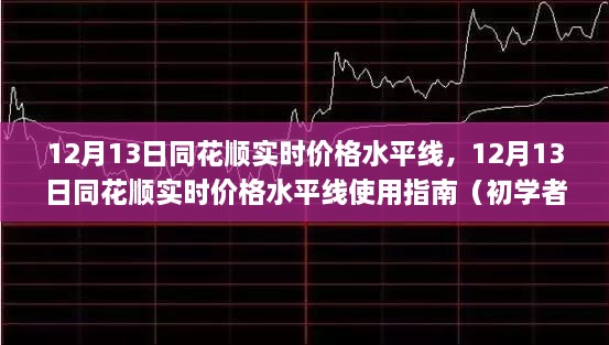 12月13日同花順實(shí)時(shí)價(jià)格水平線使用指南，從入門到進(jìn)階