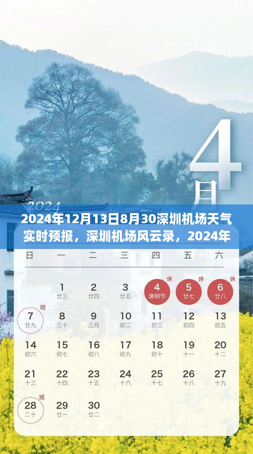 深圳機(jī)場(chǎng)天氣預(yù)報(bào)紀(jì)實(shí)，風(fēng)云變幻下的航班動(dòng)態(tài)與影響