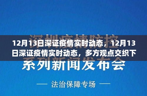 多方觀點(diǎn)交織下的洞察與反思，12月13日深證疫情實(shí)時(shí)動(dòng)態(tài)分析