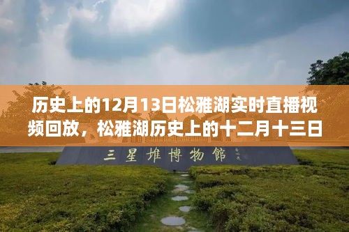 松雅湖直播回放，探尋歷史記憶碎片的十二月十三日